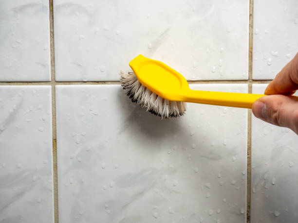 Best Professional Mold Removal  in Cascade, ID