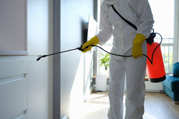 Best Affordable Mold Removal  in Cascade, ID