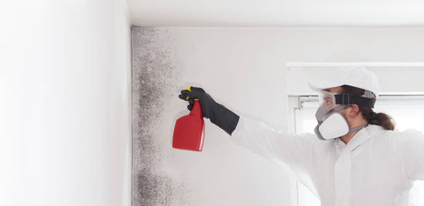 Best Office Mold Removal Services  in Cascade, ID